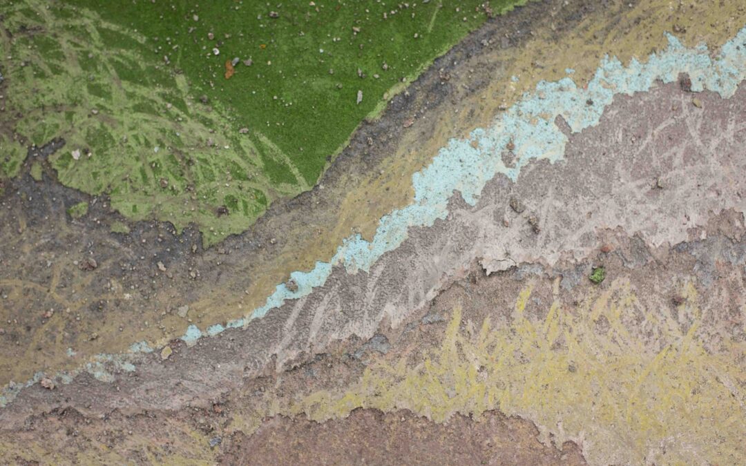 Först grönt – sen blev allt bara grått